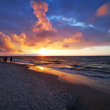 Gold B28 Let's Sea Baltic Park *