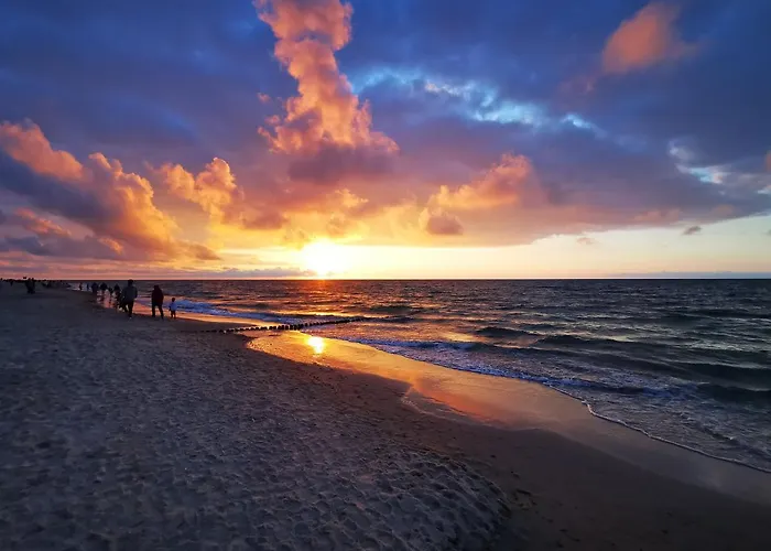 Gold B28 Let's Sea Baltic Park *